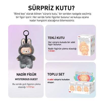 POP MART CRYAGAIN THE MONSTERS BIG INTO ENERGY SÜRPRİZ KUTU SERİSİ